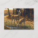 Search for fawn business cards Baby deer