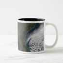Search for southern state mugs Florida