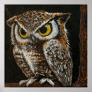 Search for owl feather posters Bird
