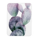 Search for cactus magnets Tropical