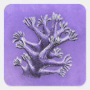 Search for biologists stickers Marine