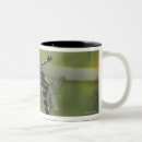Search for tokyo japan mugs Outdoors