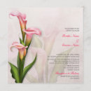 Search for calla square invitations Nature
