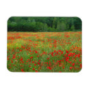 Recherche de coquelicot magnets Fleur