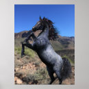 Recherche de élevage art Cheval