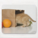 Search for grocery electronics Horizontal