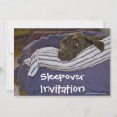 Search for labrador retriever invitations Pets