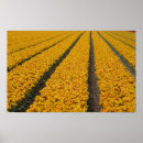 Recherche de tulipe posters Tourisme