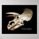 Recherche de triceratops posters Dinosaure