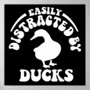 Search for duck posters Saying