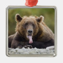 Recherche de fatigué ornements Paresseux