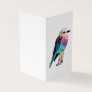 Recherche de cartoon illustration cards Oiseau