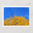 Recherche de ginkgo cartes postales Feuilles