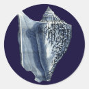 Search for sea shell seashell stickers Indigo