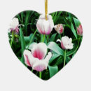 Search for tulip ornaments Pink