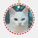 Search for cat in frame ornaments Cute