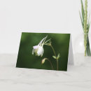 Recherche de kater vœux cartes Katie