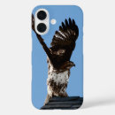 Search for wings iphone cases Bird