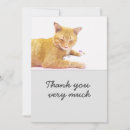 Recherche de blanche de chat vœux cartes Orange