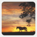Search for beautiful horse stickers Equine