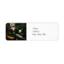 Search for lillies return address labels Beautiful