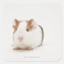 Search for photo studio stickers Cute