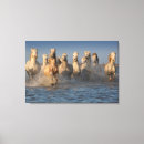Search for sea horse canvas prints Nautical