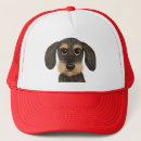 Search for cute hats Dog