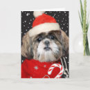 Search for dog breed christmas cards Santa