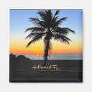 Recherche de hollywood magnets États unis