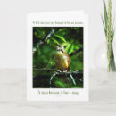 Recherche de roitelet vœux cartes Nature