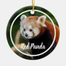 Search for red panda ornaments Cute