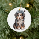 Search for miniature ornaments Pet