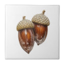 Search for acorn tiles Forest