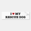 Search for dog rescue bumper stickers Paw