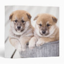 Recherche de intérieur bureau fournitures Animal