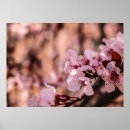 Search for macro posters Blooming