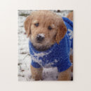 Recherche de golden retriever puzzles Chien