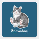 Search for snowshoe stickers Cat