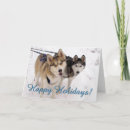 Recherche de husky christmas cards Sibérien