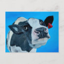 Search for fresian postcards Cow