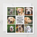 Search for fur baby cards Photo collage