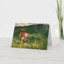 Search for golden retriever note cards Dog