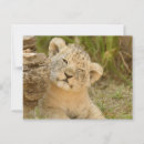 Recherche de cuill cartes postales Nature