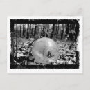 Search for bottle postcards Drink
