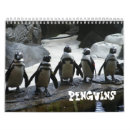 Search for penguins calendars Photography