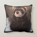 Recherche de furet coussins Pour tous