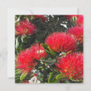 Search for pohutukawa postcards New zealand