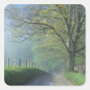 Search for smokey mountains stickers Cades cove