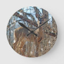 Search for odocoileus art Wildlife